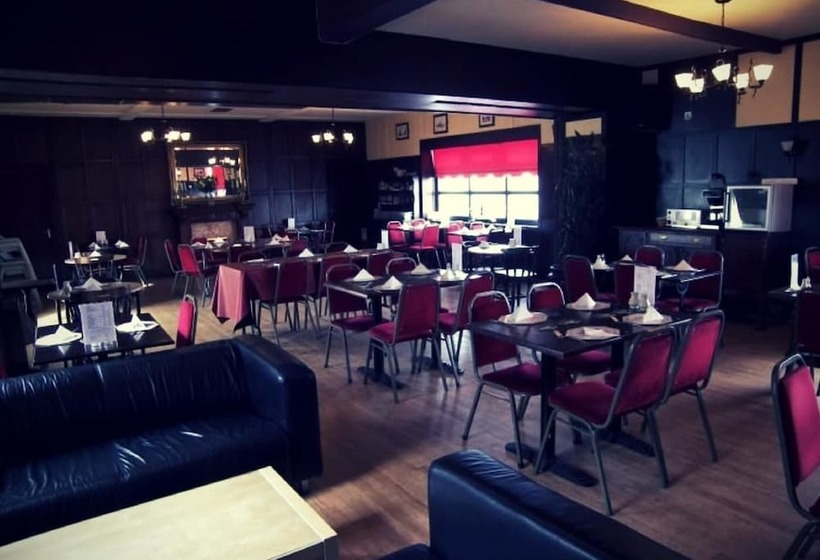 هاستل The Elbow Room