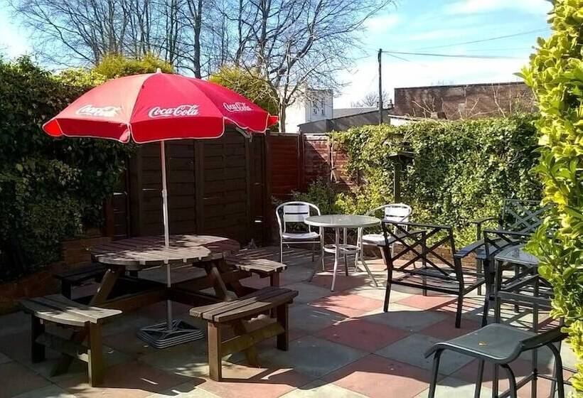 هاستل The Elbow Room