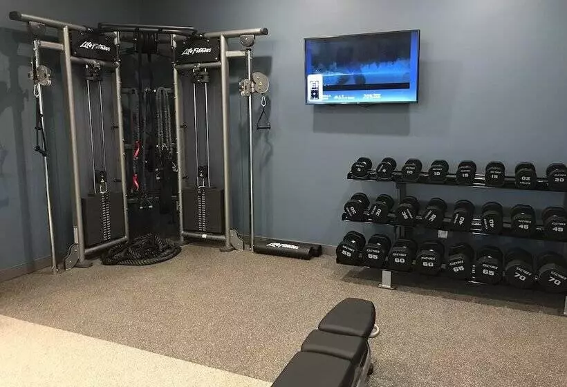 Hotelli Embassy Suites By Hilton Plainfield Indianapolis Airport