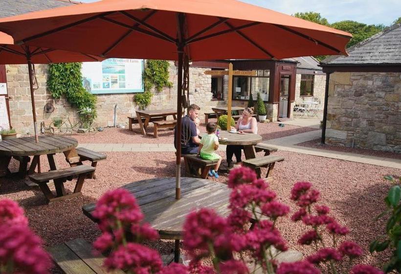 בית מלון כפרי Pot A Doodle Do