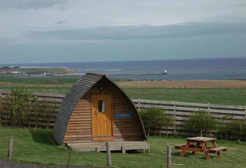 בית מלון כפרי Pot A Doodle Do