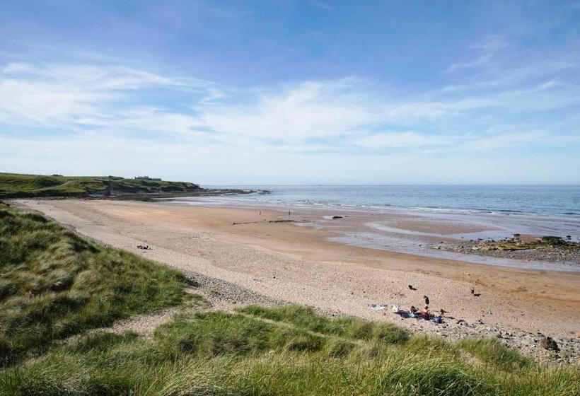 בית מלון כפרי Pot A Doodle Do