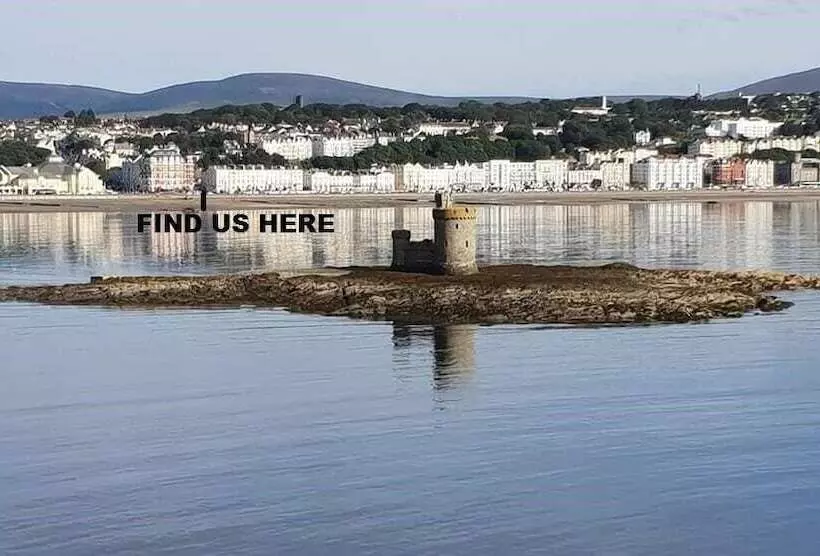 Majatalo Bed And Blueberry