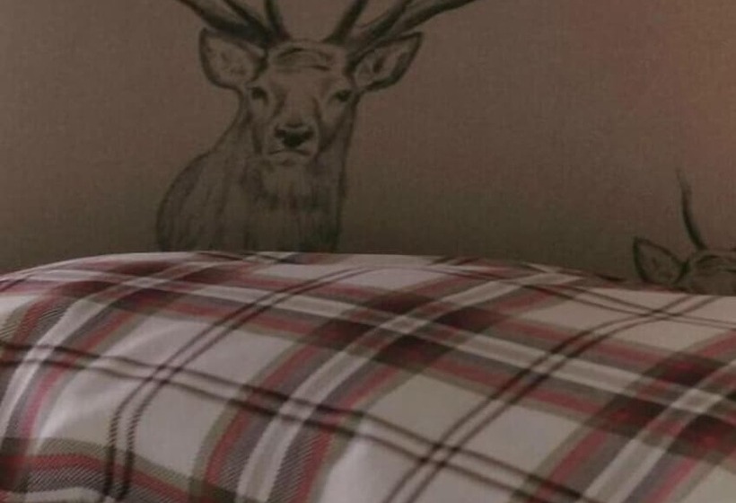 ペンション Knights Rest Guest House