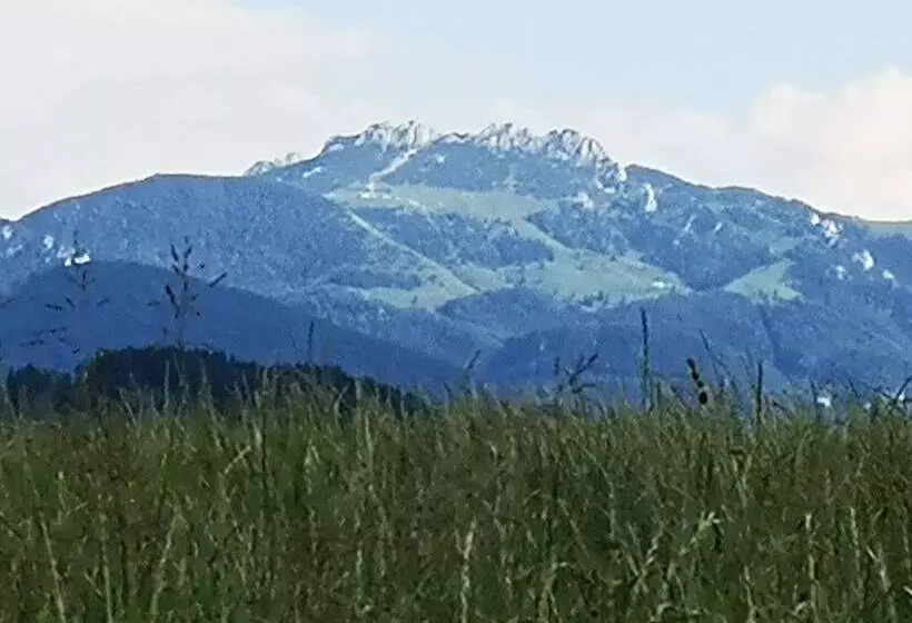 Hotelli Auf M Reifnhof