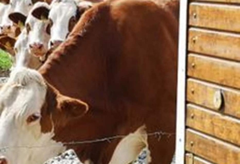 בית מלון כפרי Auf M Reifnhof