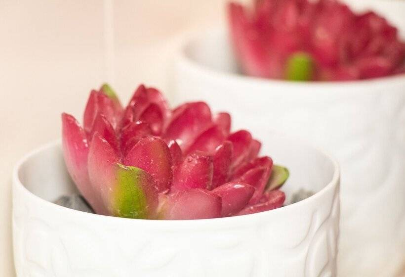 בית מלון כפרי Auf M Reifnhof