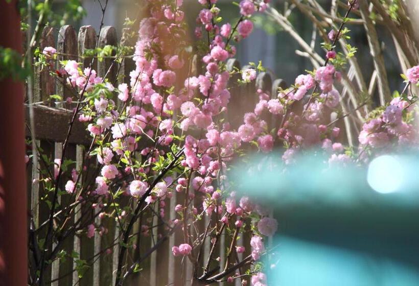 膳宿费 Ferienhaus Am Kunstspeicher