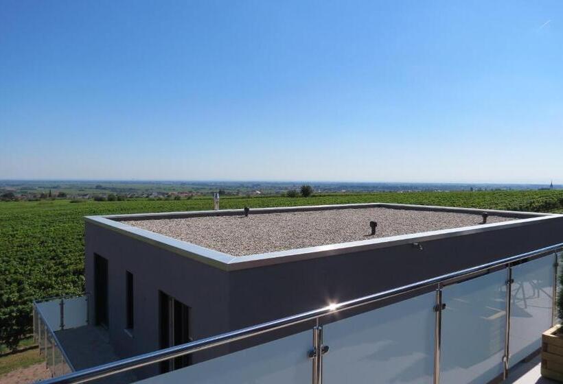 펜션 Gästehaus Rebenhof