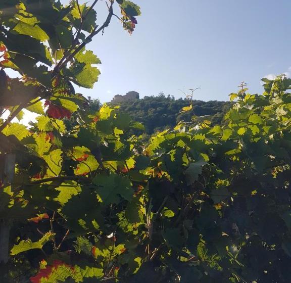 펜션 Gästehaus Rebenhof