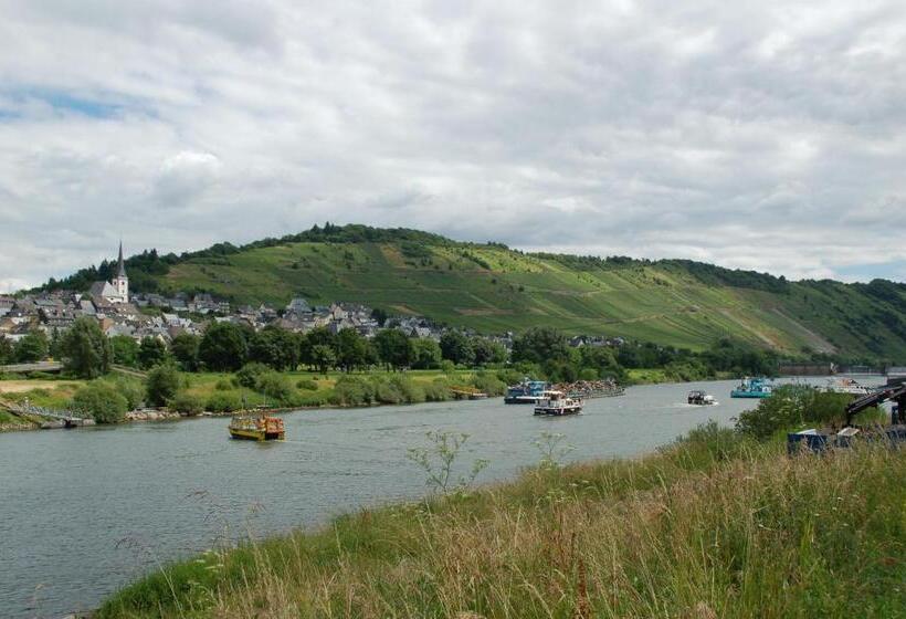 Пансион Weingut Stiftshof