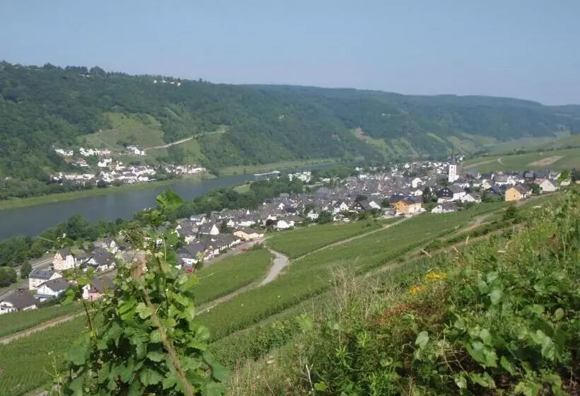 ペンション Weingut Stiftshof