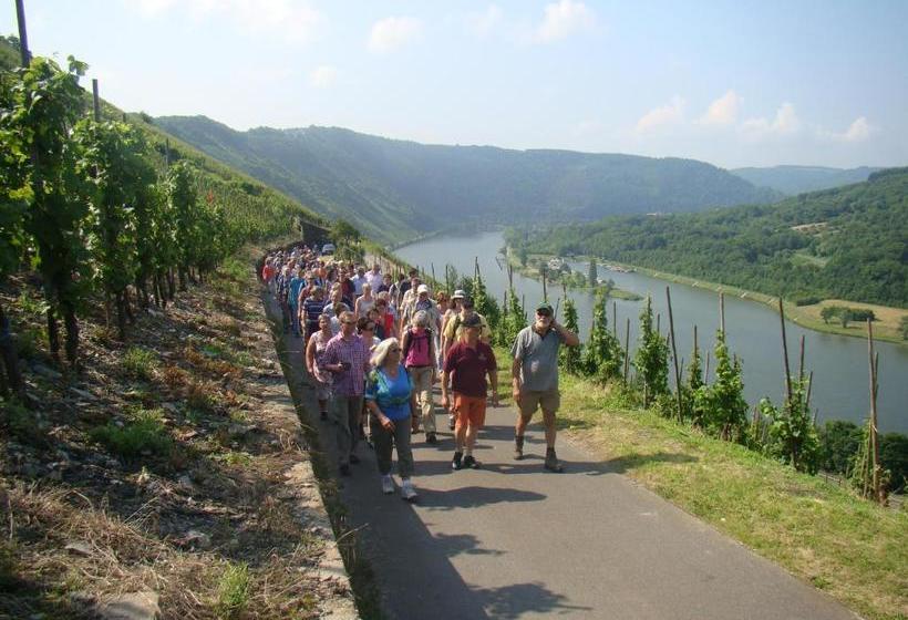 Пансион Weingut Stiftshof