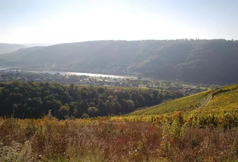 ペンション Weingut Stiftshof