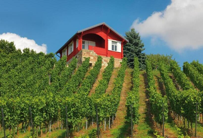 Naumburger Wein & Sekt Manufaktur Pension 1824