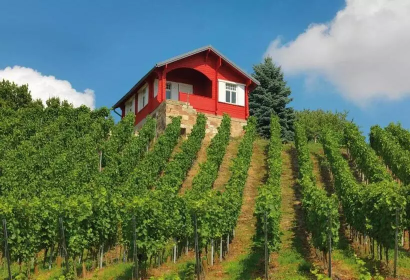 Naumburger Wein & Sekt Manufaktur   Pension 1824