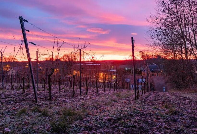 Naumburger Wein & Sekt Manufaktur Pension 1824