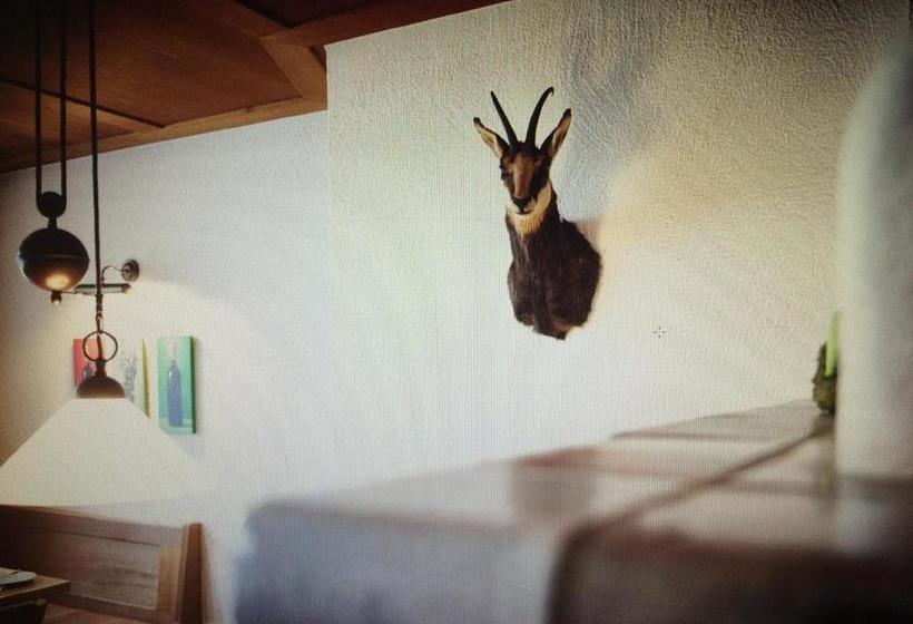 旅馆 Gasthof Kreuz