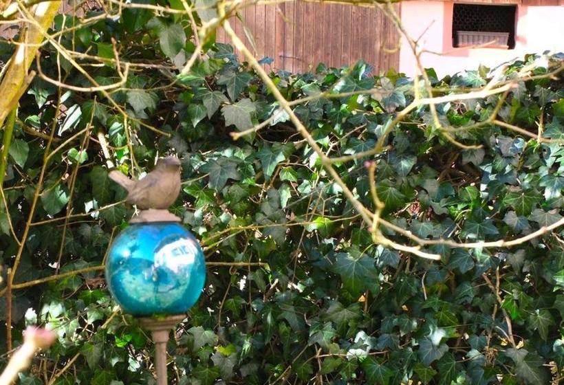 Пансион Gasthaus Schwert