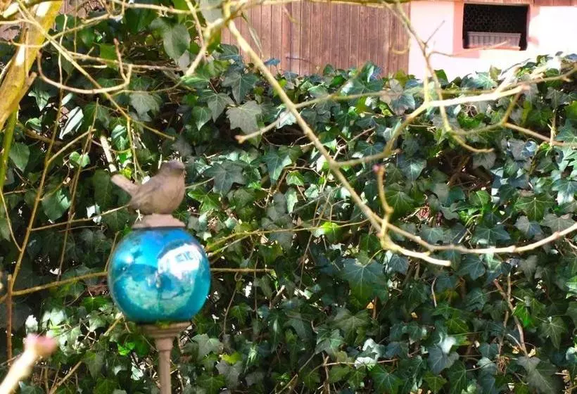 Pension Gasthaus Schwert