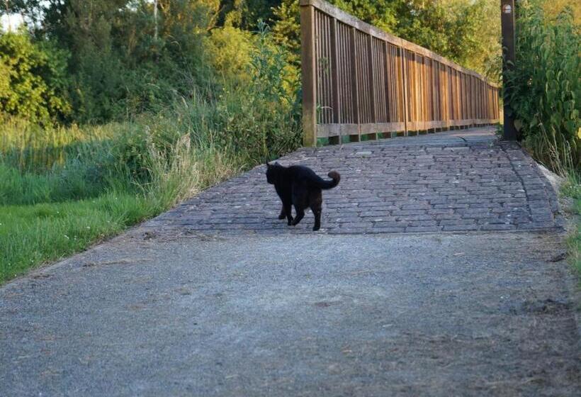 פנסיון Gasthuus Ulenhoff