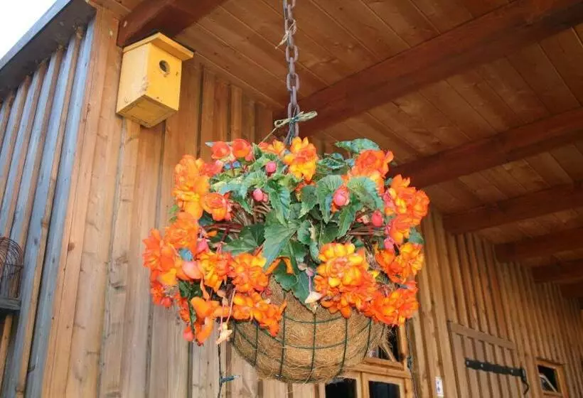 Auszeithof Niederfrohna