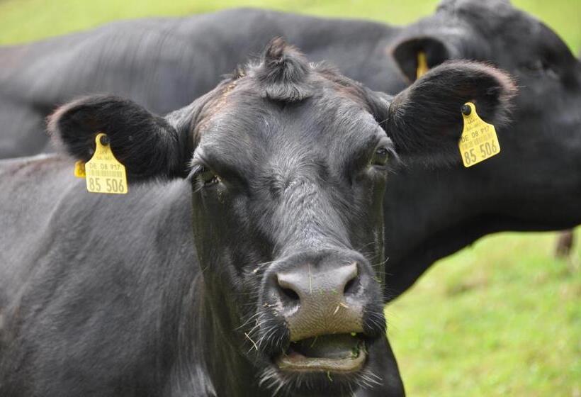 호텔 Blumbauernhof