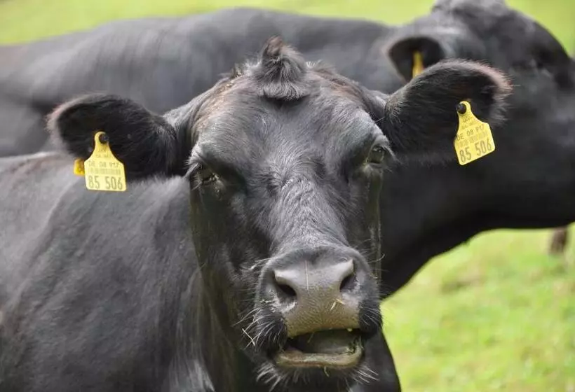 ホテル Blumbauernhof