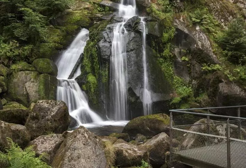 ホテル Blumbauernhof