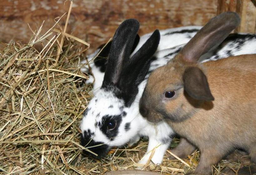 호텔 Blumbauernhof