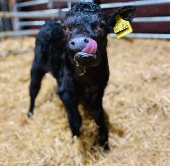 호텔 Blumbauernhof