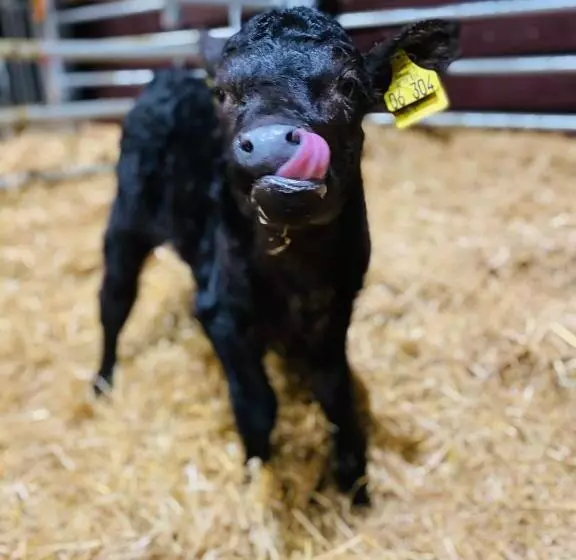 ホテル Blumbauernhof