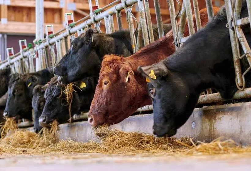 ホテル Blumbauernhof