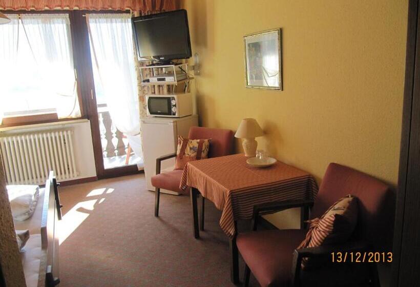 膳宿费 Gasthaus Krone Post