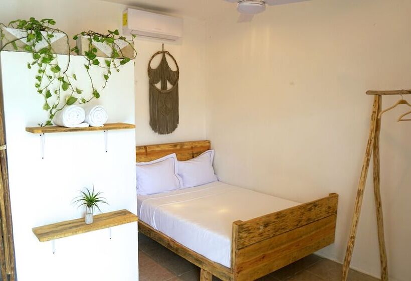 Coelum   Hostel
