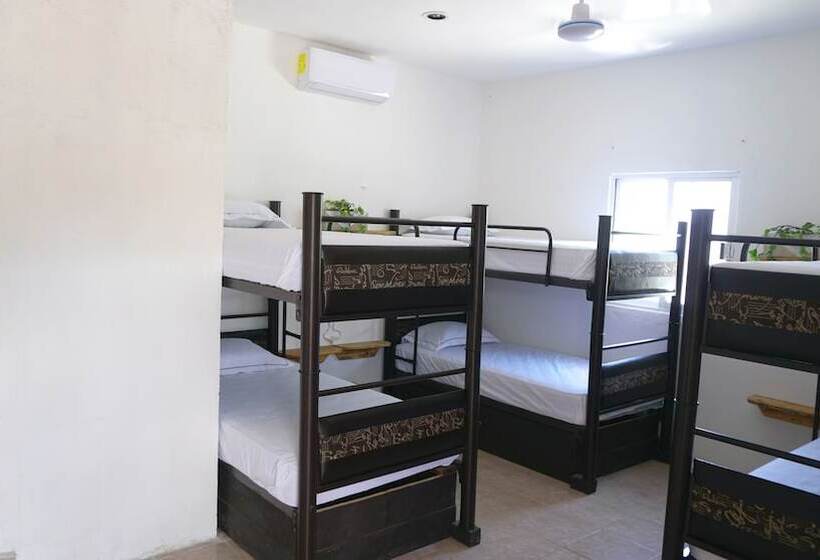 Coelum   Hostel
