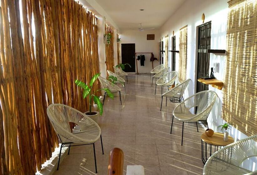 Coelum   Hostel