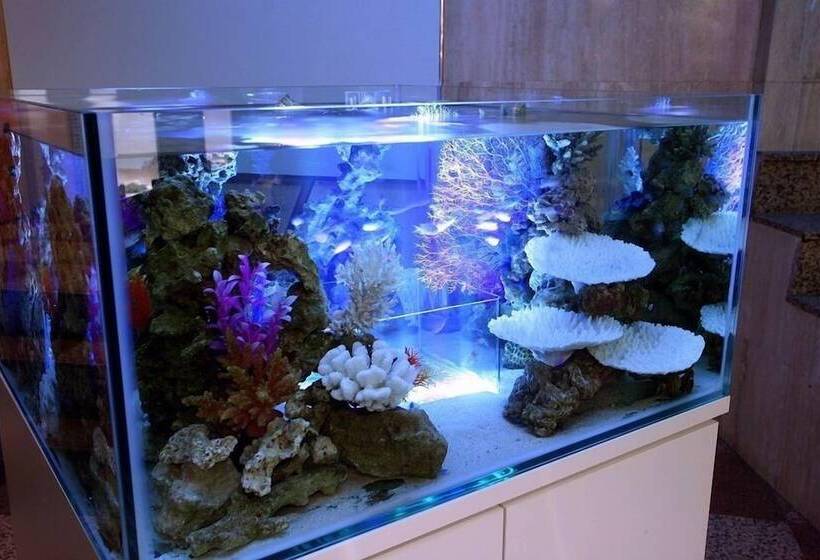 Otel Aqua Blue Yokosuka