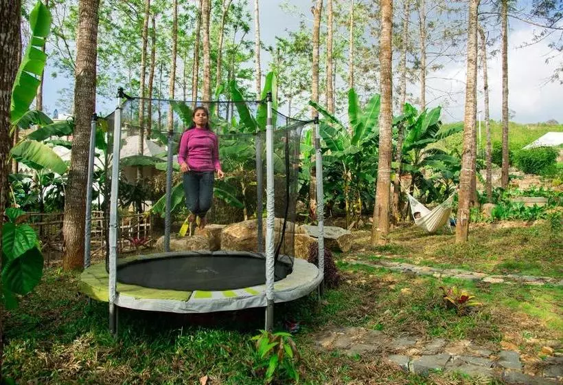 Wow Bison Woods Resort Yercaud