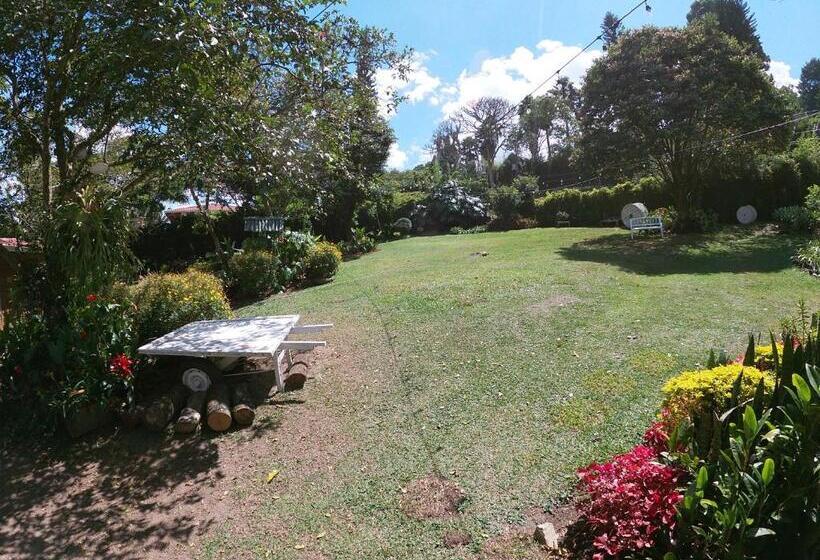 Общежитие Casa Madero