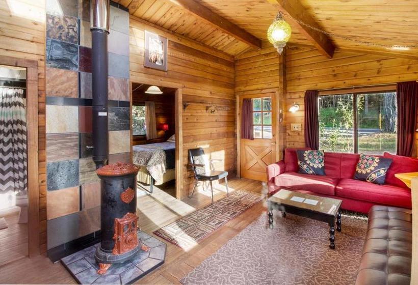 פנסיון Juniper Lane Guest House