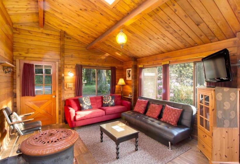 פנסיון Juniper Lane Guest House