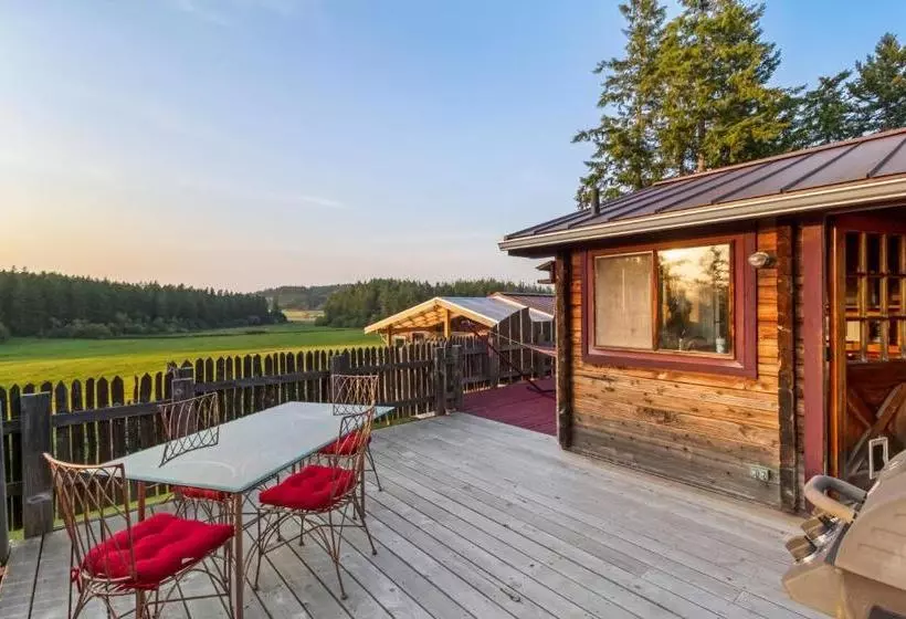 پانسیون Juniper Lane Guest House