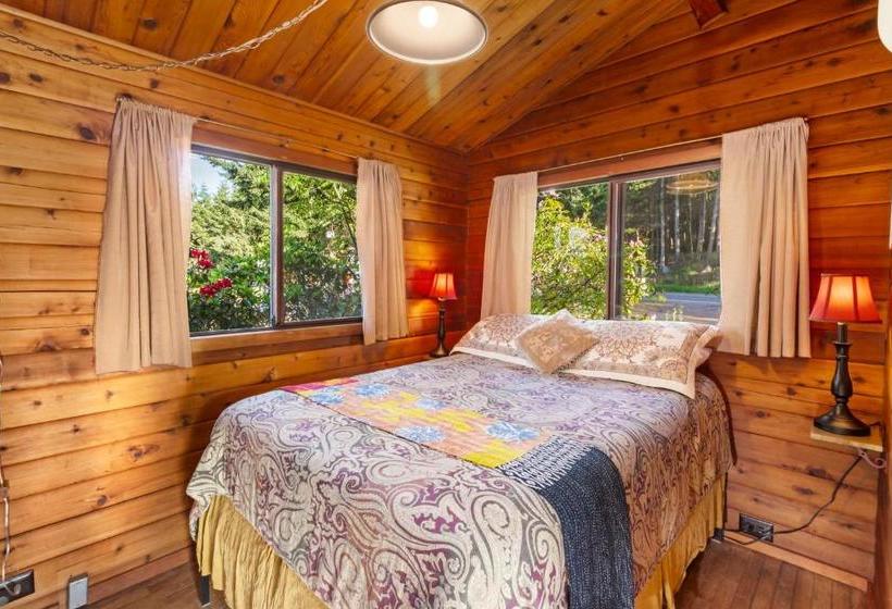 פנסיון Juniper Lane Guest House