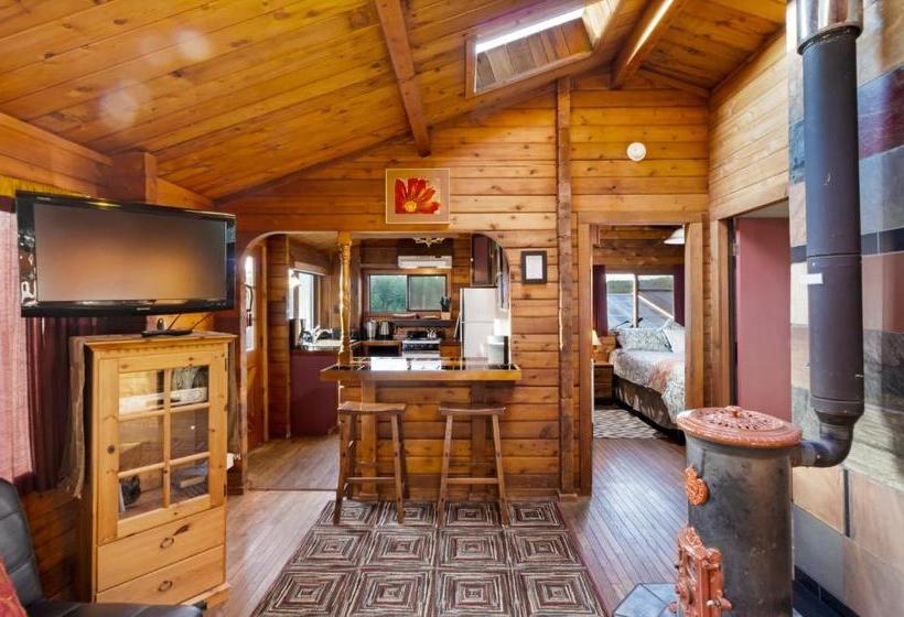 פנסיון Juniper Lane Guest House