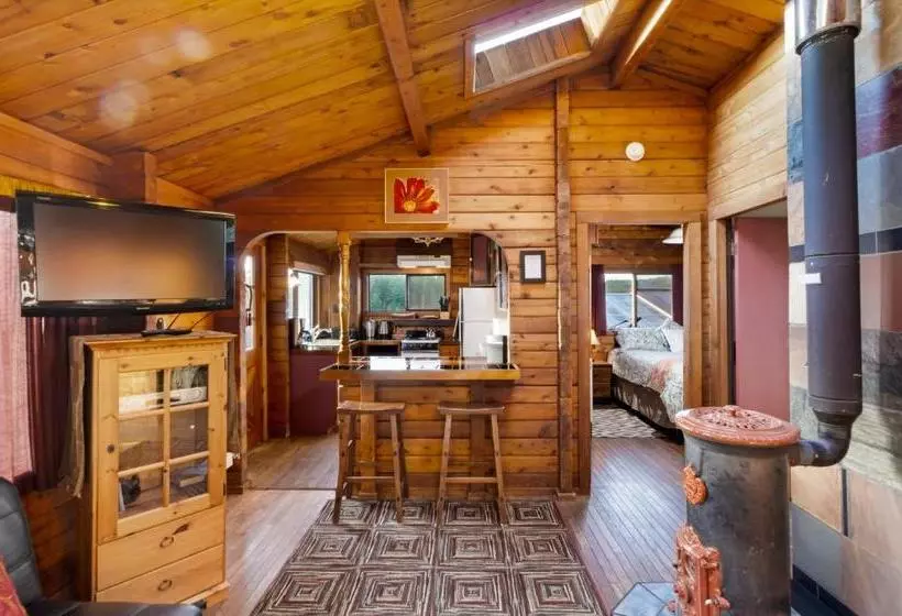 پانسیون Juniper Lane Guest House