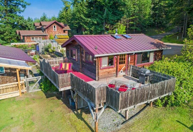 פנסיון Juniper Lane Guest House