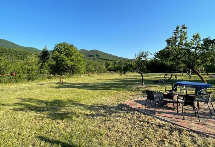 بنسيون Dombtető Vendégház