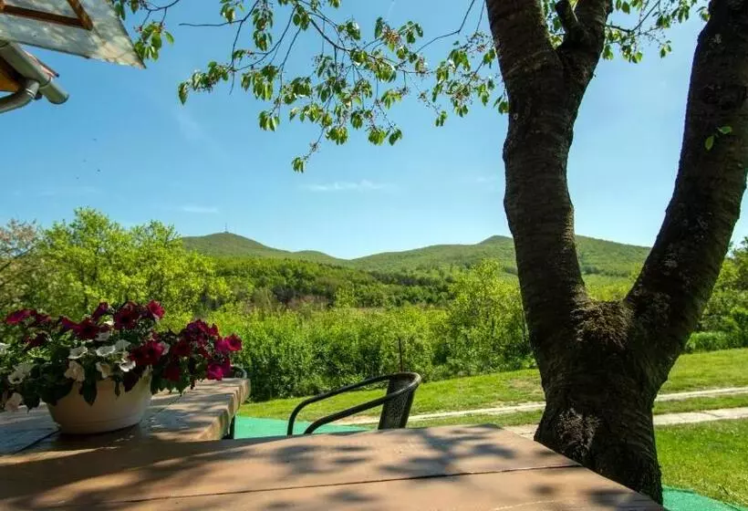 Majatalo Dombtető Vendégház