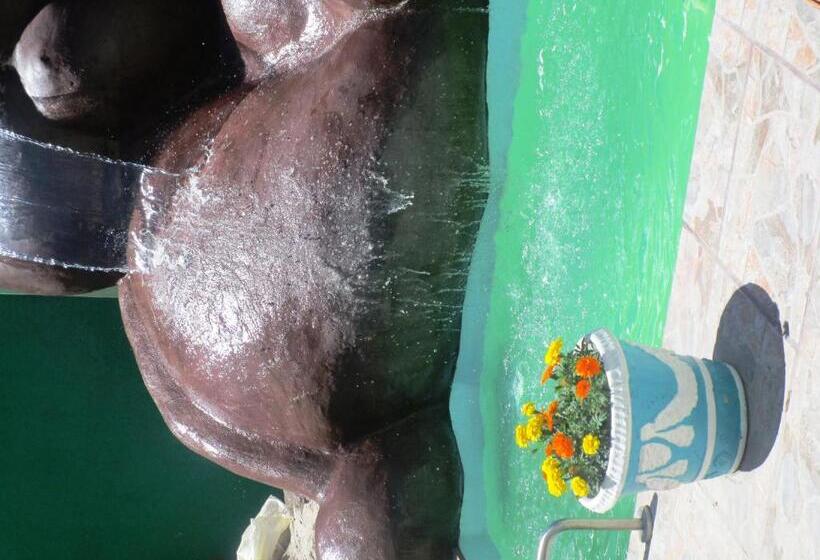 پانسیون Norfolk Guest House